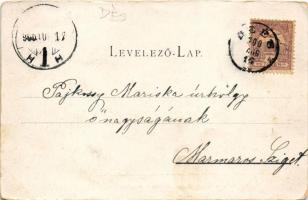 1900 Sztojkafalva, Stojka-fürdő, Sztojka-fürdő, Stoiceni (Magyarlápos, Targu Lapus); fürdő. Gálócsi ...