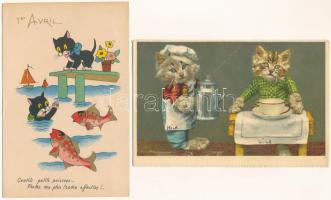 MACSKÁK - 4 db MODERN üdvözlőlap és művészlap, közte 1 nyávogó mechanikus lap, 1 grafika, 1 montázs,...