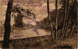 1924 Szászsebes, Mühlbach, Sebesul Sasesc, Sebes; Parcul / park / park. Anna Gross kiadása / park (EK)