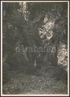 cca 1910 Brassó környéki hegyek, Erdélyi Mór (1866-1934) felvétele, a hátoldalon feliratozott fotó, 16×11,5 cm / cca 1910 Brasov (Kronstadt), mountains, vintage photo by Mór Erdélyi, with fault, 16×11,5 cm