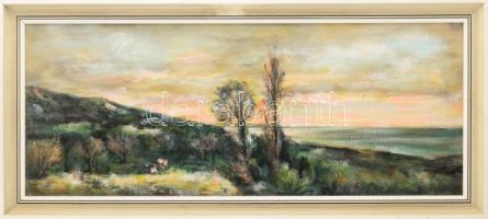 Acsa Szűcs Imre (1956-2019): Táj I. (Velencei-tó). Olaj, vászon. Jelezve jobbra lent Hátoldalán autográf felirattal. Dekoratív fakeretben, 40x100 cm. KIZÁRÓLAG SZEMÉLYES ÁTVÉTEL, NEM POSTÁZZUK! / ONLY PERSONAL COLLECTION AT OUR OFFICE!