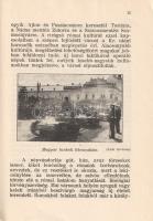 Ferenczi Sándor: 
Kolozsvári útmutató. Földtani, őslénytani, történelmi és természetrajzi vonatkozá...