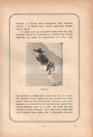 Balogh Benedek, barátosi: Dai Nippon. Kelet csodái. 103 képpel.
Budapest, (1906). Magyar Kereskedel...