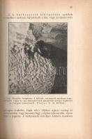 Moesz Gusztáv: 
A házigomba és az épületek elgombásodása. 39 képpel.
Budapest, 1934. Királyi Magya...