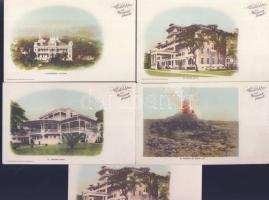 5 db / pcs Hawaii 1900-1910