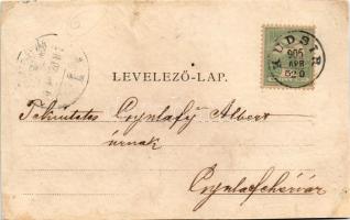 1905 Kudzsir, Kudsir, Cugir; vasgyár, iparvasút. Schäser Ferenc fénynyomdai műintézete (Gyulafehérvá...