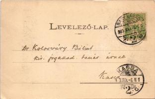 1903 Nagyvárad, Oradea; Fő utca, üzletek, templom. Helyfi László kiadása / main street, shops, churc...