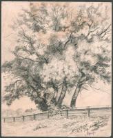 Zsögödi Nagy Imre (1893-1976): 4 db grafika. Két tus, két rézkarc, jelzettek. 22x27 cm ig