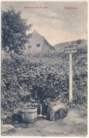 Badacsony, Kisfaludy ház és forrás (ázott / wet damage)