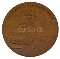 Franciaország 1984. "Vasúti Munkások Szövetsége / A vasúti munkások felkélésének 40. évfordulójára" bronz emlékérem (68mm) T:XF France 1984. "Railway Workers' Federation / 40th Anniversary of the Insurrection of the Railway Workers" bronze commemorative medallion (68mm) C:XF