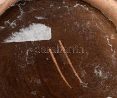 Iparművész szárazvirág váza, kis sérüléssel, h: 19 cm