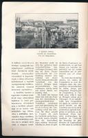 1931 Országos Mezőgazdasági Kiállítás és Vásár képekkel gazdagon illusztrált füzete, magyar, német é...