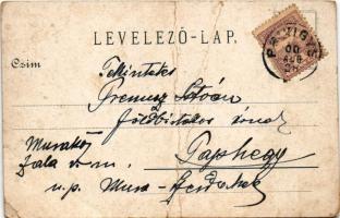 1900 Privigye, Prievidza; Erzsébet tér, üzletek, piac / square, shops, market (fa)