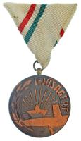 ~1980. "Ifjúságért" bronz érdemérem mellszalagon T:XF