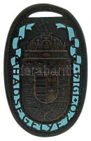 Zutt Richárd (1887-1938) 1914. "Hadsegélyező 1914" részben zománcozott bronz emlékérem, világoskék zománc (53x33mm) T:AU / Hungary 1914. "Hungarian War Medal for Volunteers 1914" partially enamelled bronze commemorative medallion, powder blue enamel. Sign.: Richard Zutt C:AU HP 6815.