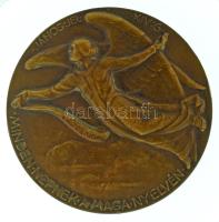 Berán Lajos (1882-1943) 1934. "Luther Márton" kétoldalas bronz emlékérem. "D LUTHER M...