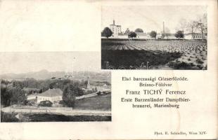 Barcaföldvár Tichy steam brewery