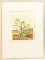 Szekeres Erzsébet (1938-): Tavasz tövike. Akvarell, papír. 19x15 cm Üvegezett keretben