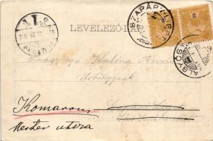 1901 Feredőgyógy, Fürdőgyógy, Algyógyfürdő, Geoagiu-Bai, Feredeu; látkép / view (EB)