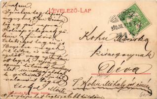 1910 Zalatna, Zlatna; látkép, templomok. W. L. (?) 3200. Kiadja Baik Traján / general view, churches...