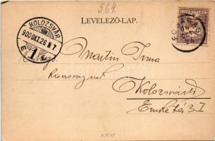 1900 Fogaras, Fagaras; Dr. Hochmann villa. Sinberger Testvérek kiadása / Villa (EK)