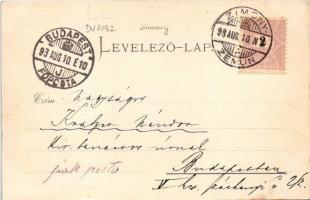 1898 (Vorläufer) Zimony, Semlin, Zemun; Zimsko pristaniste / Winterhafen / winter port, steamships (...