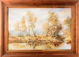 Sipos István (1945-): Vízparti fák. Olaj, farost, jelezve balra lent. 40x60 cm. Hátoldalán Sáfár GMK címkéjével. Fakeretben. /