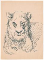 Szőnyi Jenő (1902-?): Vadmacska. Tus, toll, papír, jelzett. 17x12,5 cm.