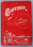 1905 Trieste leporello, 12 db keményhátú fotóval, hn., R. &amp; J. D. Egészvászon-mappában, a fo...