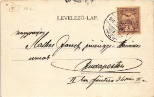 1901 Segesvár, Schässburg, Sighisoara; Iparosegylet székháza és gimnázium, Karl Habermann üzlete. Fr...