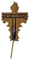 ~1920. "Trianon" festett bronz gyászjelvény (30x21mm) T:AU