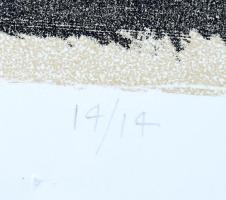 Varga Zsófia (1974-): Ars longa, vita brevis, 2004. Litográfia, papír, jelzett, számozott (14/14). 5...