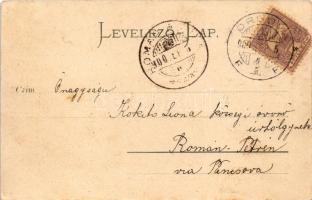 1900 Orsova, Dunasor. Hutterer G. kiadása / Donauzeile / street