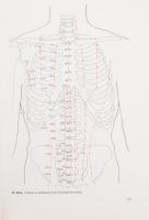 Debreceni László: Klinikai akupunktúra. Bp., 1988, Medicina, 299+(1) p. Első kiadás. Kiadói egészvás...