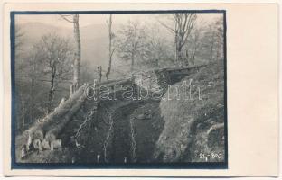 Kővárfüred, Carbunari (Máramaros); első világháború, német katonai állás, sáncok / WWI German military, ramparts. photo