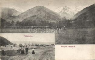 Brazói havasok sawmill