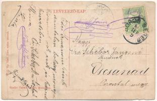 Borossebes, Boros-Sebes, Sebis; vasgyár, zsinagóga. Uránia nyomda kiadása W.L. Bp. 5285. / ironworks...