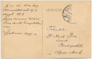 1914 Szatmárnémeti, Satu Mare; Püspöki konviktus díszterme, 'Iubilemus Deo Salutari', ünne...