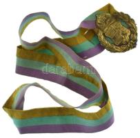 ~1900. Magyar címeres aranyozott bronz lemezjelvény nyakszalagon T:XF