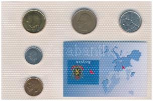 Belgium 1981-1998. 50c-50Fr (5xklf) "Belgium utolsó nemzeti pénzei" vákuumcsomagolt forgal...