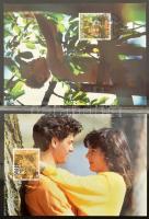 Svájc 77 db CM 20 lapos A/4 FDC berakóban