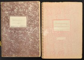 Törökország gyűjtemény a kezdetektől az 1990-es évekig, 2 db előrajzolt füzetben. Tartalmas anyag so...