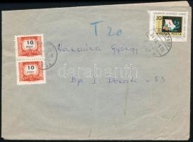 1964, 1964