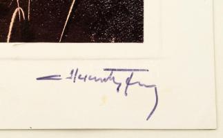 Hercsuth Ferenc (1942-): Absztrakt alkotás. Monotípia, papír, jelzett, 25x14 cm Hozzá kiállítási meg...