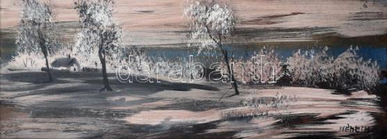 Németh jelzéssel: Téli táj. Olaj, farost, kerteben 30x56 cm