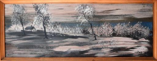 Németh jelzéssel: Téli táj. Olaj, farost, kerteben 30x56 cm