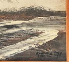 Németh jelzéssel: Téli táj. Olaj, farost, fa kerteben 40x70 cm