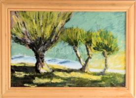 Sebők Lajos (?-?) No 95. (Táj) Zománc, fémlap, jelzett, keretben. 27x42 cm