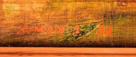 Simon János (1945-): Rábapart. Olaj, farost, jelzett, hátoldalán bélyegzővel. Dekoratív fakeretben, ...