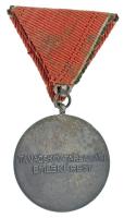 1959. "Tanácsköztársasági Emlékérem" ezüstözött bronz kitüntetés, eredeti mellszalagon T:X...
